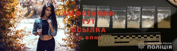 ПСИЛОЦИБИНОВЫЕ ГРИБЫ Снежногорск